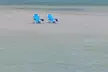 Punta Gorda / Boca Grande 4hr Beach or Sandbar Adventure - Second Medium