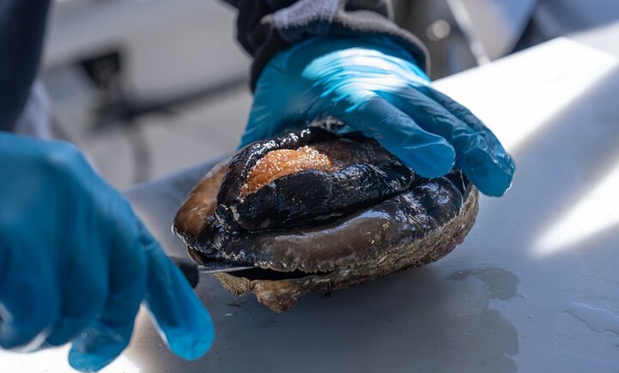 Image 7: Sea to Sky Dark Sky Cruise Experience in Tasmania