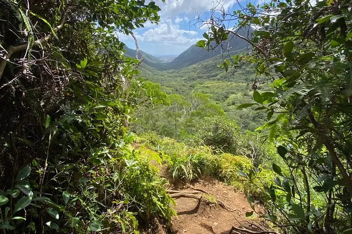 Hiking Maui Hawai'i - Primary Image