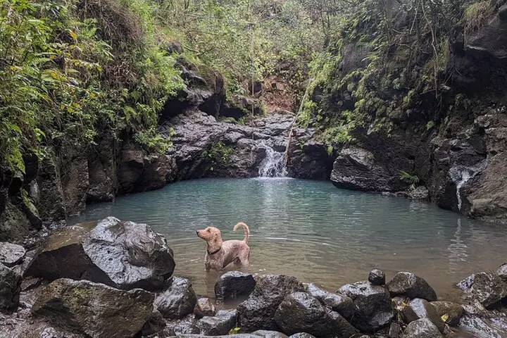 Guided Waterfall and Jungle Hiking Tour - Second Medium