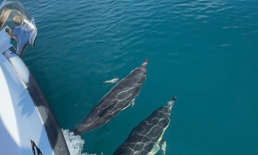 Image 9: Benalmadena Private Boat-Trip / Excursion with Open bar 1-10Pax