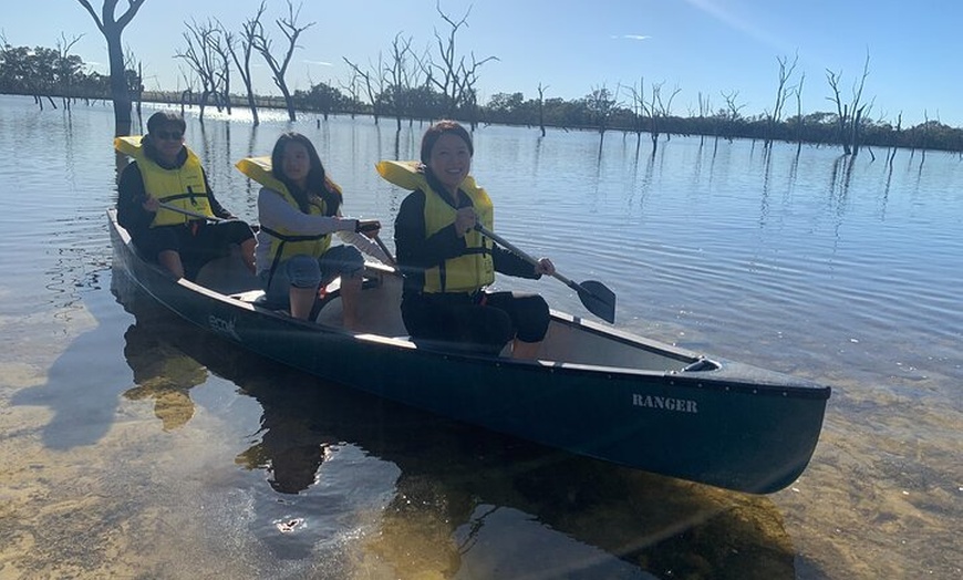 Image 16: Boshack Farm - Animal, Wildlife, Stargazing Nature Aussie culture