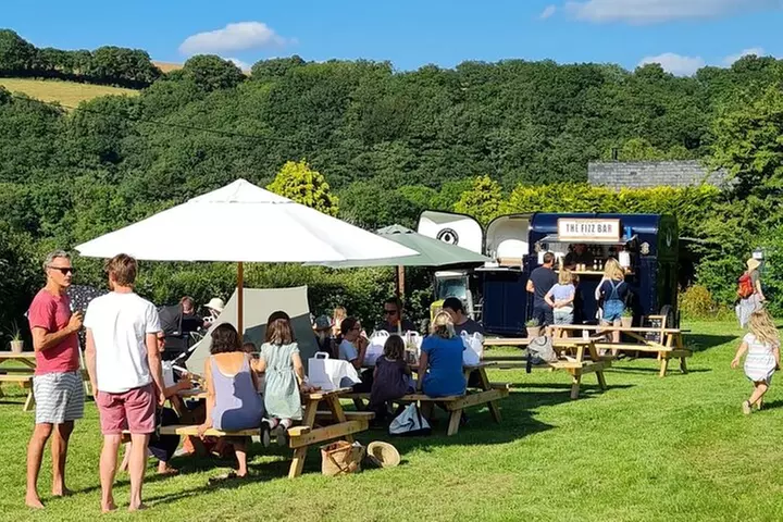 1.5-Hour Swanaford Vineyard Tour And Tasting Experience