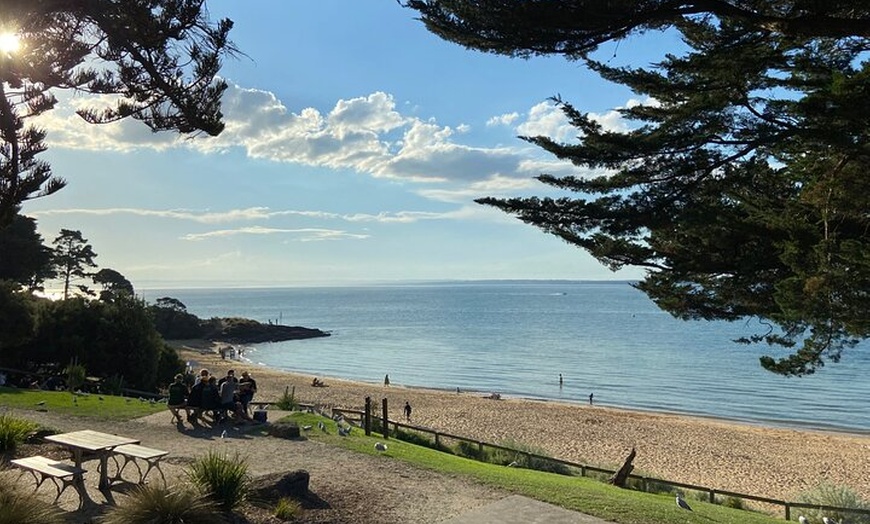 Image 5: Phillip Island Tour with Italian Guide