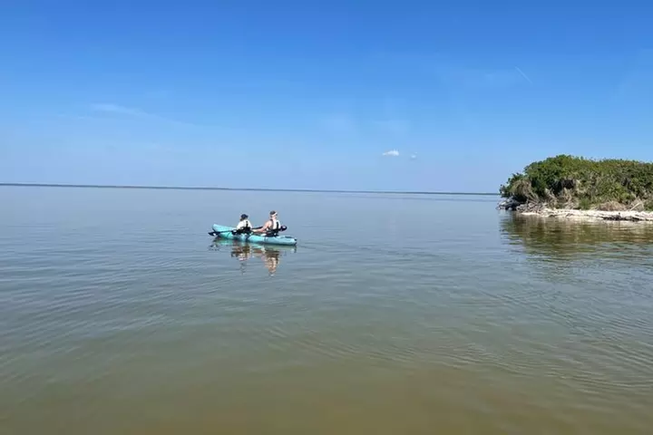 Wildlife Refuge Manatee, Dolphin & Mangrove Kayak or Paddleboarding...