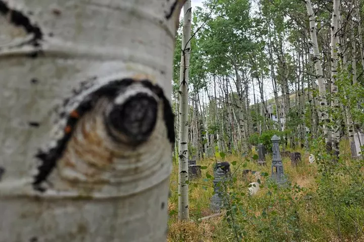 Guided Urban Art and Historical E-Bike Tour in Park City