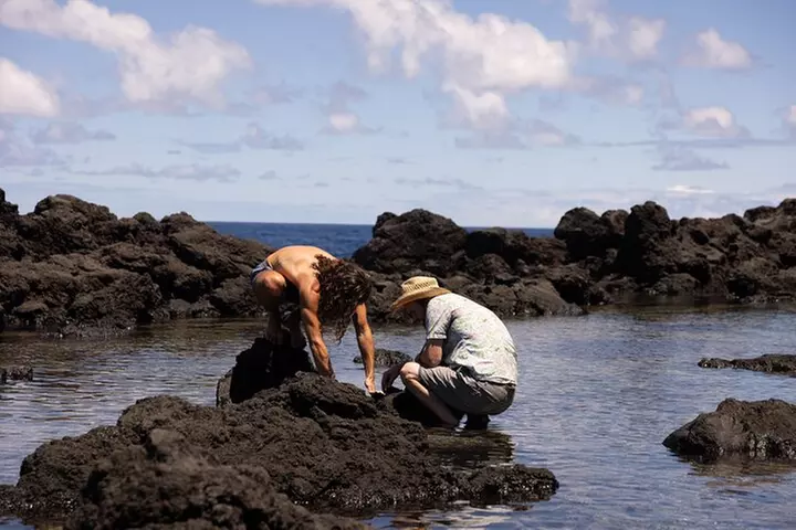 Secret Tide Pool Hike - Jungle & Coast - Private