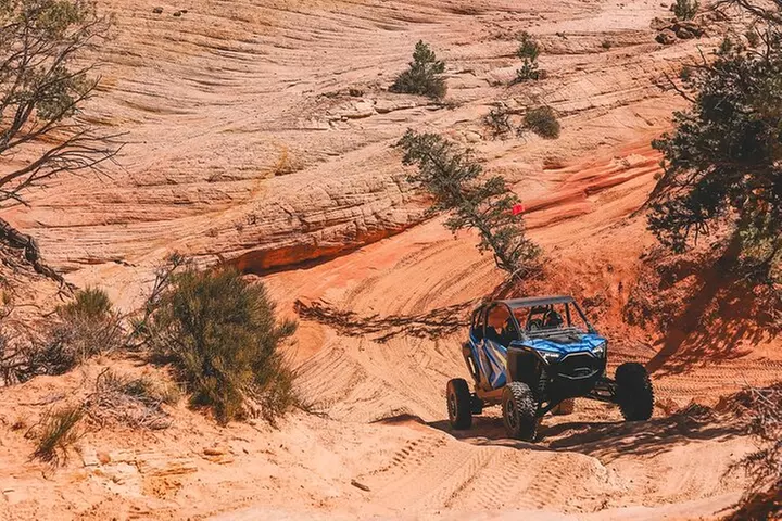 8 Hr RzR Rental in Kanab, Utah - The Latest Model Polaris RzRs! - Primary Image