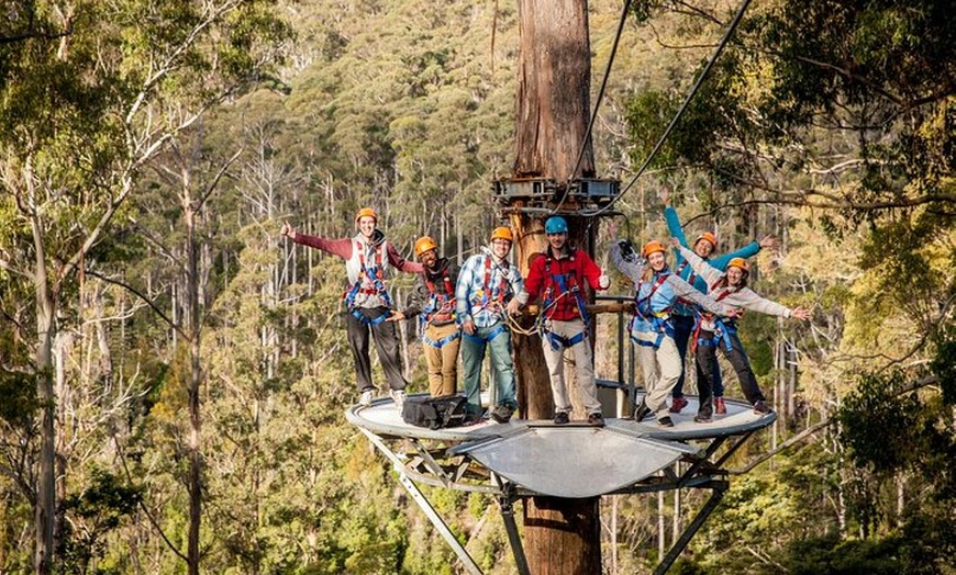 Image 1: Launceston: Hollybank Treetops Adventure - Zipline Tours