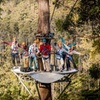 Image 1: Launceston: Hollybank Treetops Adventure - Zipline Tours