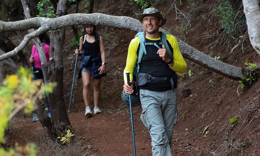 Image 15: Tenerife : Tour de Senderismo en Anaga & Bosque Encantado con Recogida