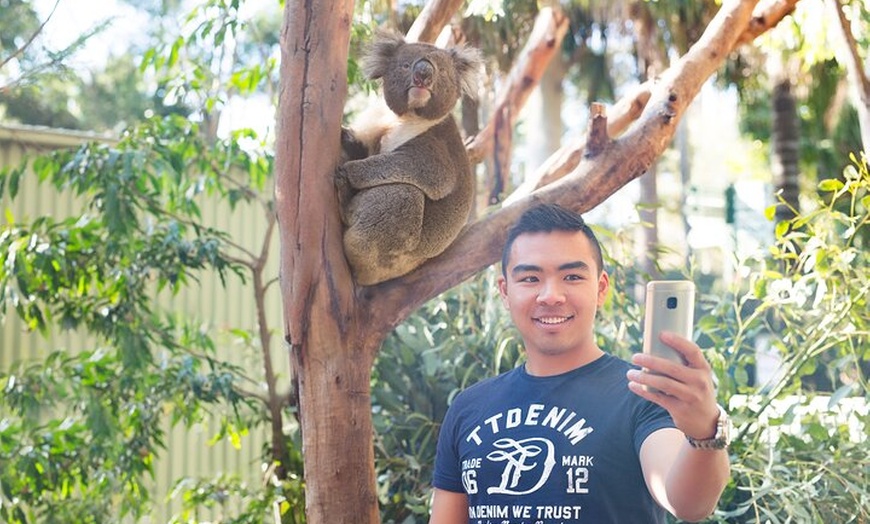 Image 5: Blue Mountains Day Tour with Wildlife, Walks and Scenic World