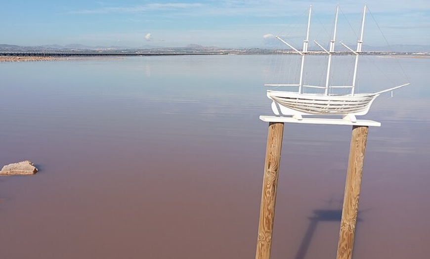 Image 7: Desde Torrevieja a Tabarca, Santa Pola y entrada a la Laguna Rosa
