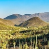 Image 3: From Puebla: Private Tour to Tehuacán Biosphere Reserve + mezcal