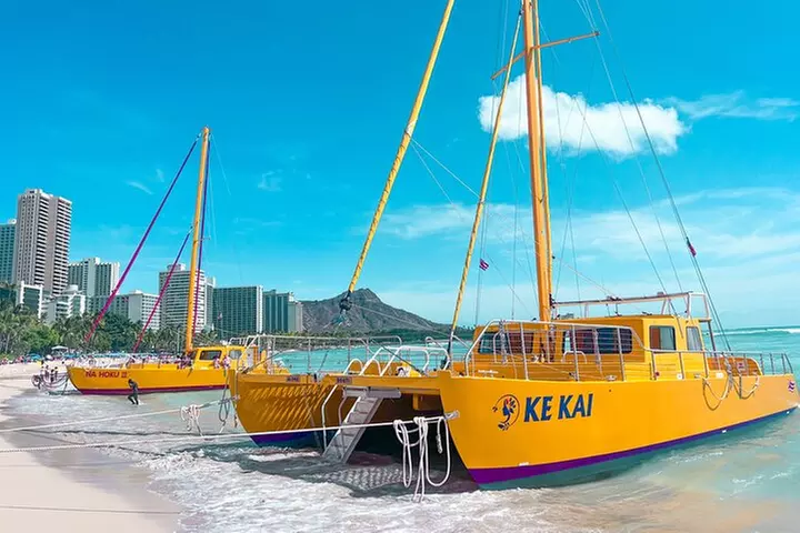 90 Minute Turtle Canyon Waikiki Catamaran Snorkel