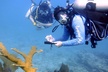 Half-Day Small-Group 2-Tank Scuba Dive in Key Largo (CERTIFIED DIVERS ONLY) - Second Medium