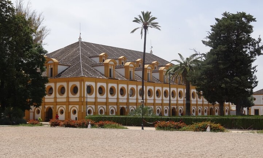 Image 7: Desde Sevilla : Excursión privada de un día a Jerez & Cádiz