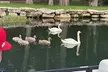 Scenic Lake Austin Boat Tour. BYOB. 2 hr (up to 12 guests) - Second Medium