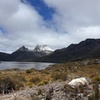 Image 1: Cradle Mountain Half Day Park Explorer Tour with Lunch