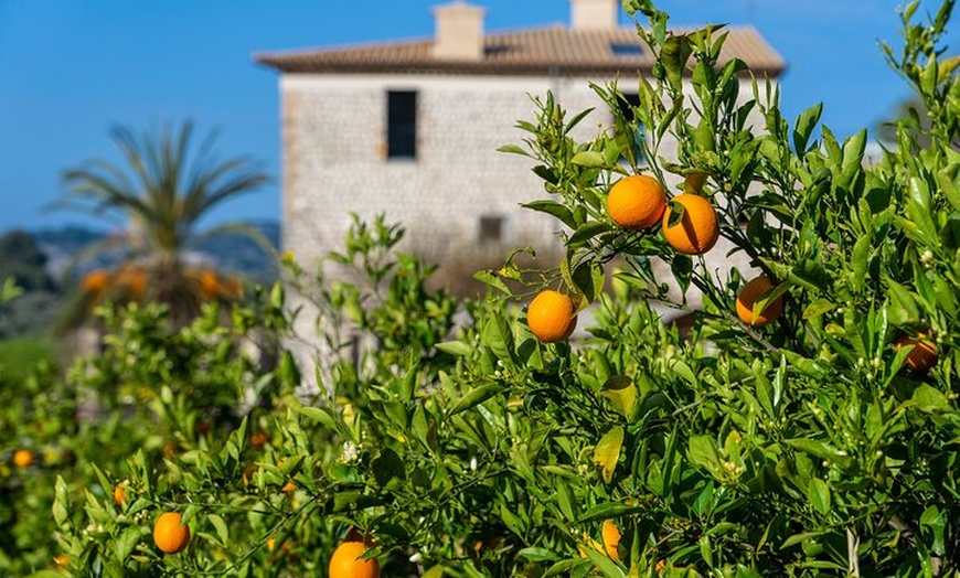 Image 2: Sierra Tramuntana: Cimas de montañas y acogedores pueblos