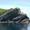 Image 2: Bespoke Boat Trips along the Jurassic Coast