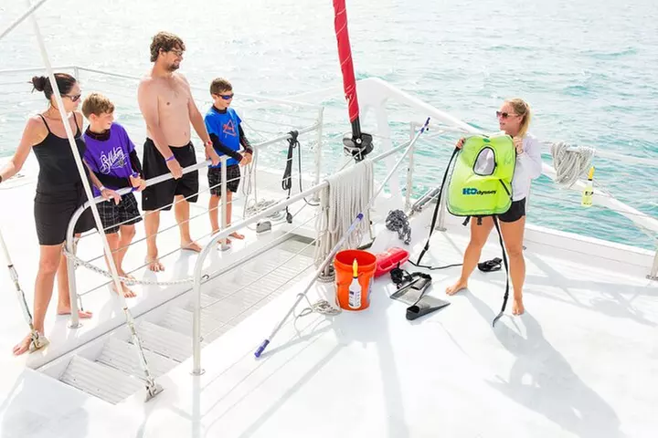 Key West Dolphin and Snorkel Experience