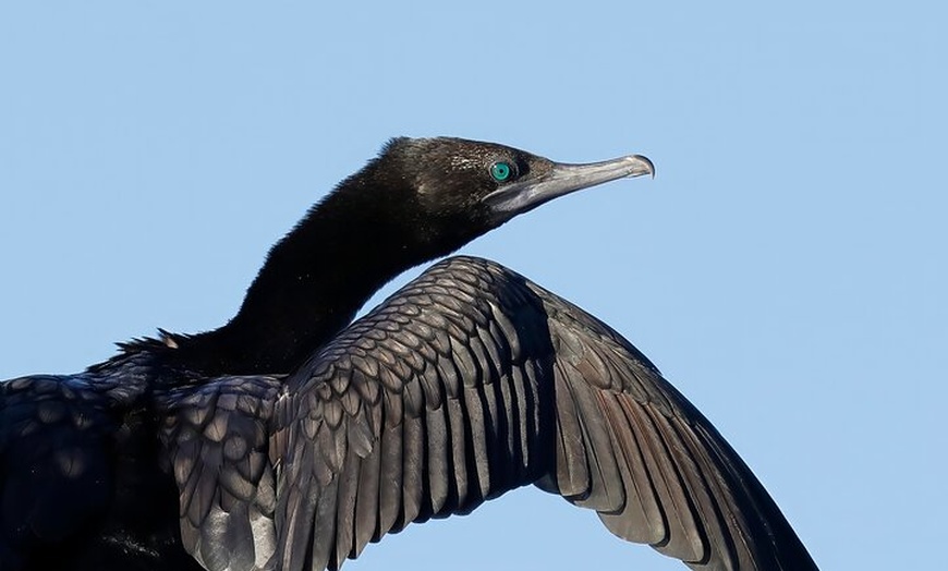 Image 8: Ord River Nature Boat Tour (minimum 2 passengers required)