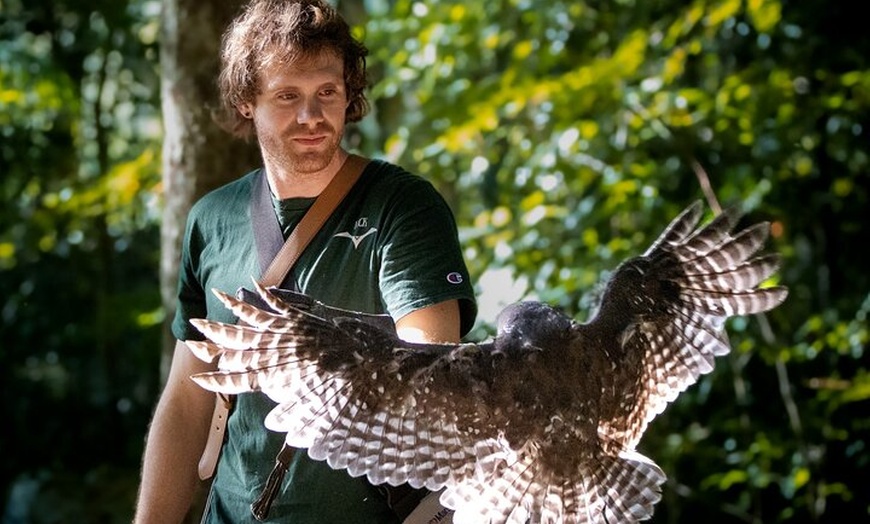 Image 10: Buderim Forest Flight Owl Encounter and Tour