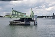 Dolphin and Manatee River Cruise Melbourne, Fl. Tour Time 1030 - Second Medium