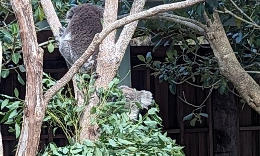 Image 1: Wollongong Sightseeing Guided Day Tour