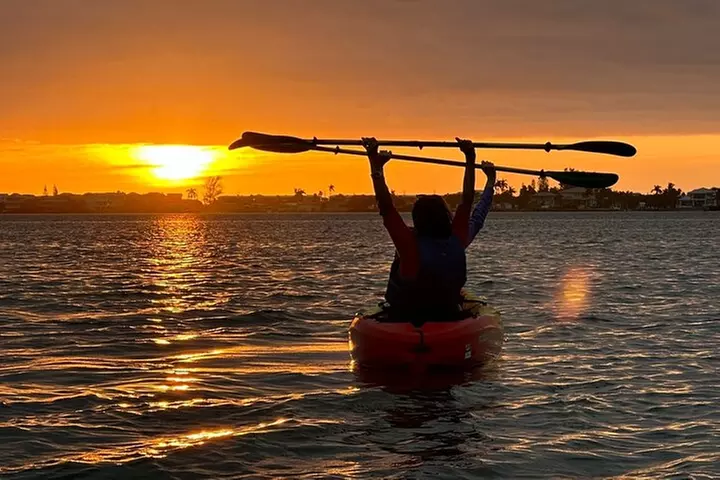 Sunset Kayaking with Dolphins