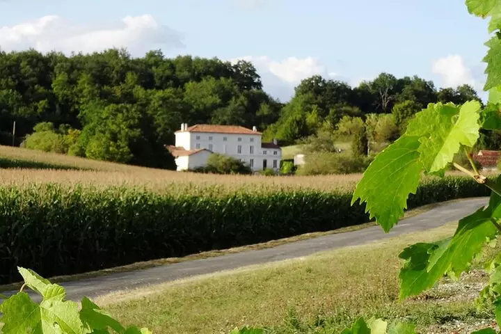Balade en vélo électrique de deux heures dans les vignes de Cognac - Primary Image