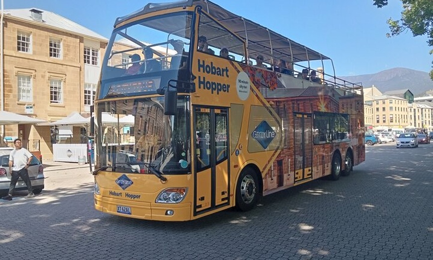 Image 3: Hobart Shore Excursion- Open Top City Explorer Tour 9.30am