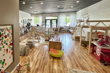 $17.49 For A One Month Cub Club Monthly Pass (Reg. $34.99) - Little Lions Den
