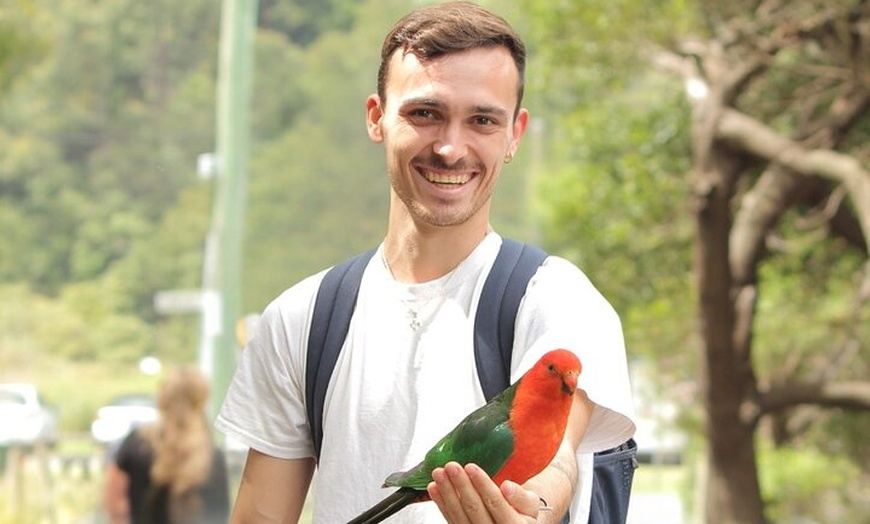Image 2: Small-Group Great Ocean Road Classic Day Tour from Melbourne