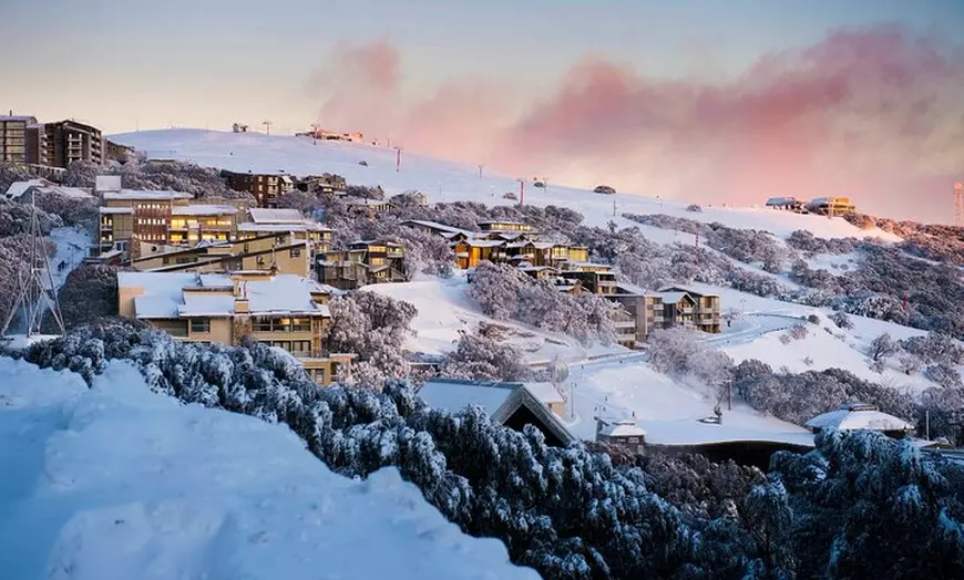 Image 4: Mt Buller Snowy Escape Day Tour from Melbourne