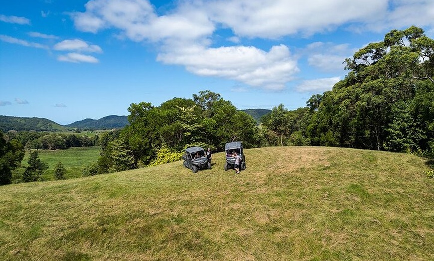 Image 3: UTV 4wd Cassowary Falls and Daintree Rainforest Adventure tour