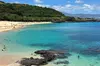 1/2 Circle Island & North Shore Fun with The Surf Bus