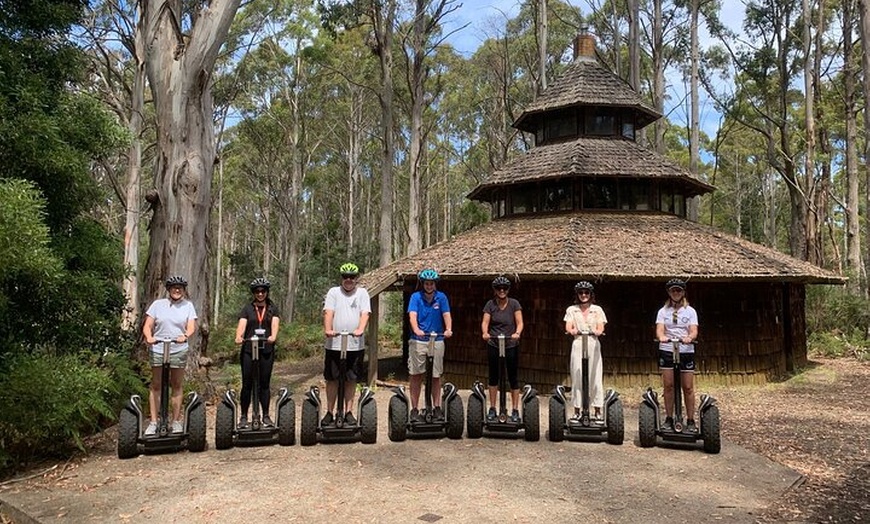 Image 4: Launceston: Hollybank Treetops Adventures - Segway Tour
