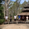 Image 4: Launceston: Hollybank Treetops Adventures - Segway Tour