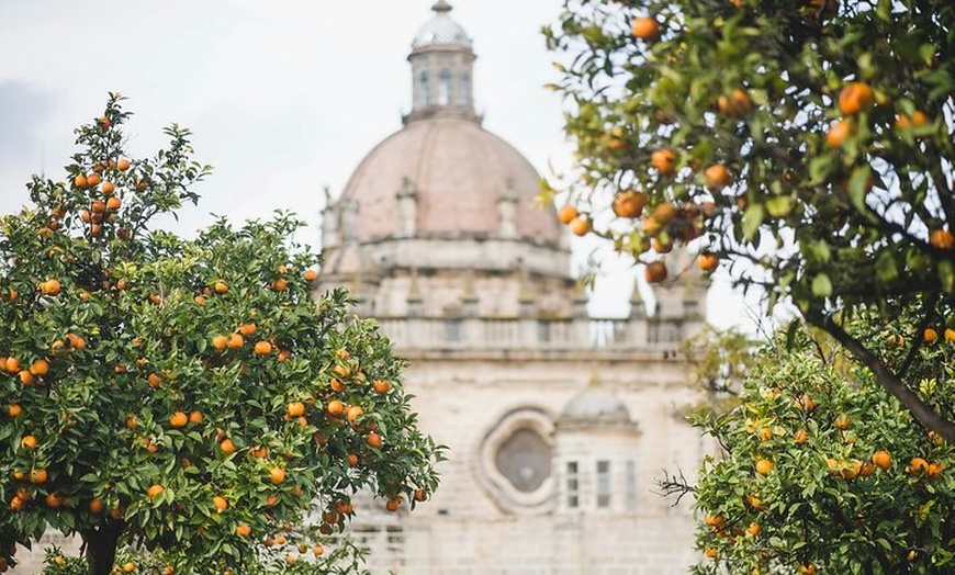 Image 14: Excursión de 10 horas a Cádiz y Jerez desde Sevilla + sesión de fot...