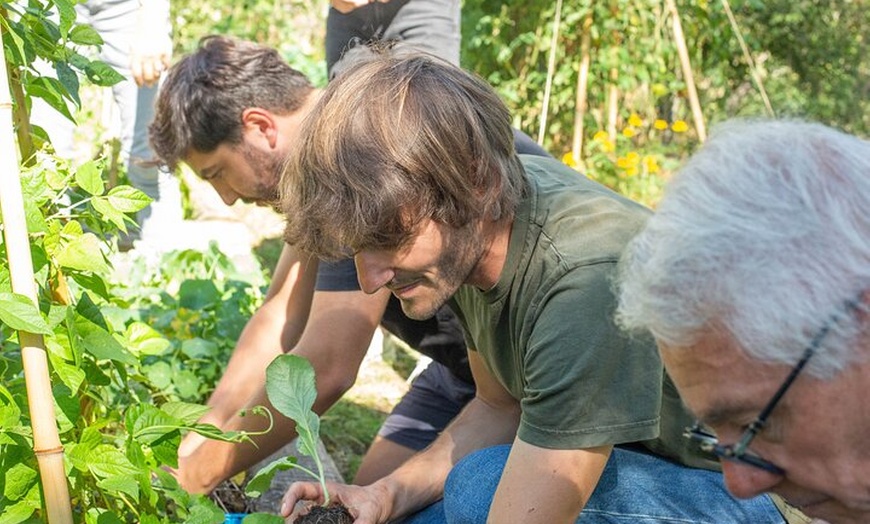 Image 8: De la ferme à la table Une journée culinaire à Lyon