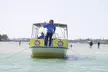 Anna Maria Island Dolphin Sightseeing Adventure - Second Medium