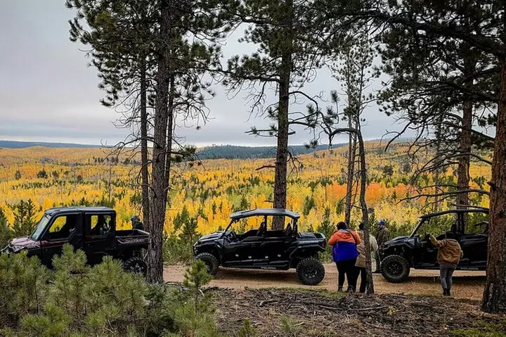 Woodland Park: 2 Hour Guided Wildlife Sunset UTV Tour - You Drive