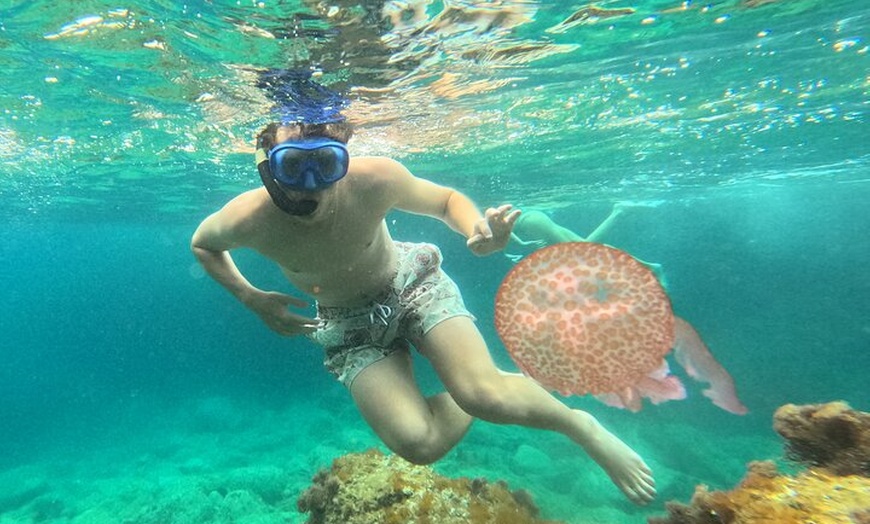 Image 6: Barcelona Wild Experience: Kayak y snorkel en Costa Brava