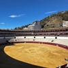 Image 3: Visita Guiada Privada a la Plaza de Toros de la Malagueta