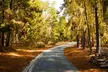 Self Guided Driving Audio Tour of 17 Mile Drive Monterey - Second Medium