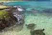 1/2 Circle Island & North Shore Fun with The Surf Bus - Second Medium