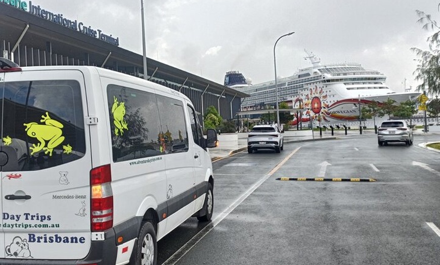 Image 18: Brisbane Private Shore Excursions with Lone Pine Koala Sanctuary