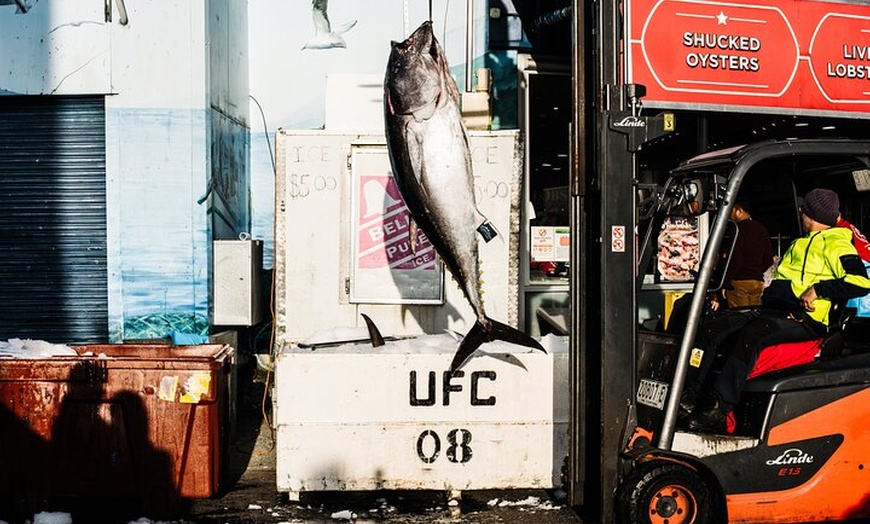 Image 3: Sunset Sydney Fish Market Tour